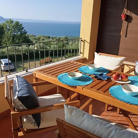 A Barbecue, Two Pools, And